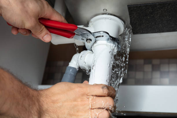 Best Mold removal after water damage  in Wooster, AR