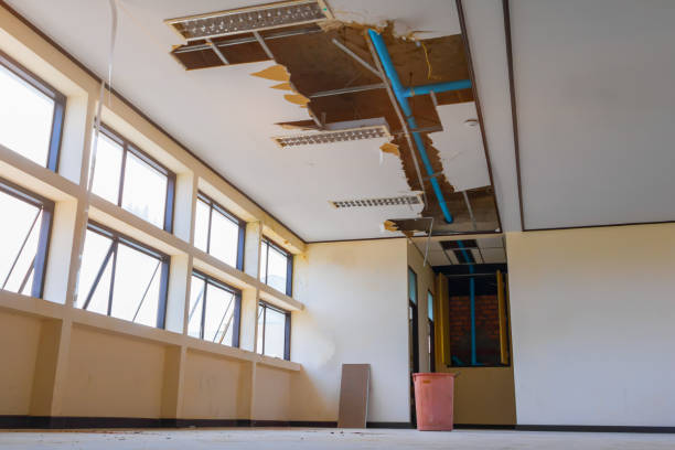 Best Water damage contractors near me  in Wooster, AR