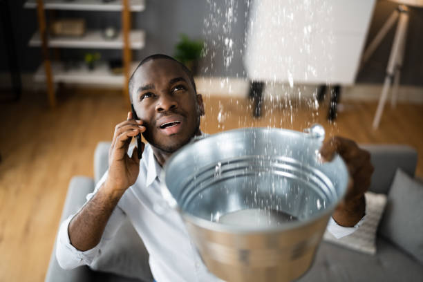 Best Local water damage restoration  in Wooster, AR