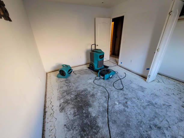 Best Professional water damage repair  in Wooster, AR