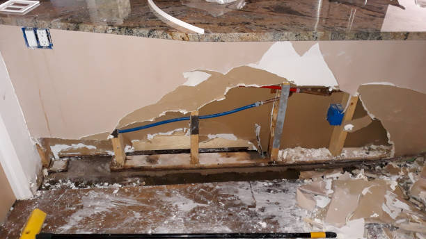 Best Ceiling water damage repair  in Wooster, AR