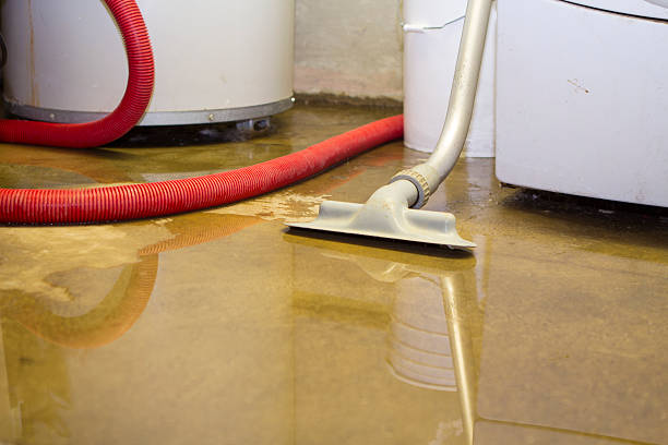 Best 24/7 water damage repair  in Wooster, AR