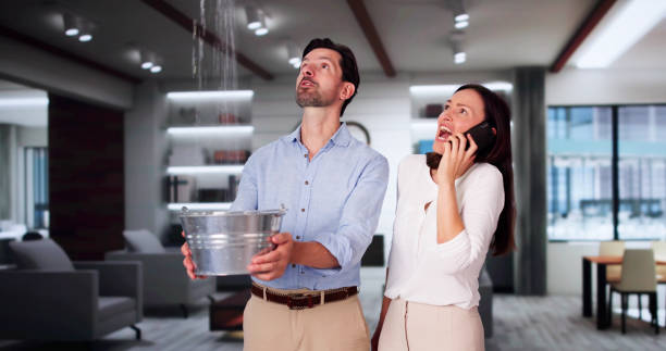 Best Basement water damage restoration  in Wooster, AR