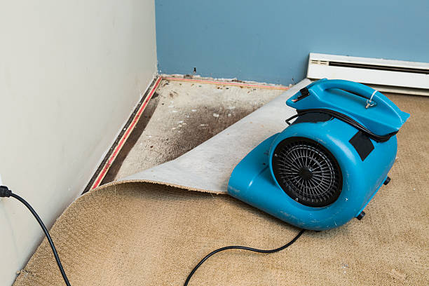 Best Commercial water damage restoration  in Wooster, AR